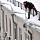 Уборка снега с крыш зданий